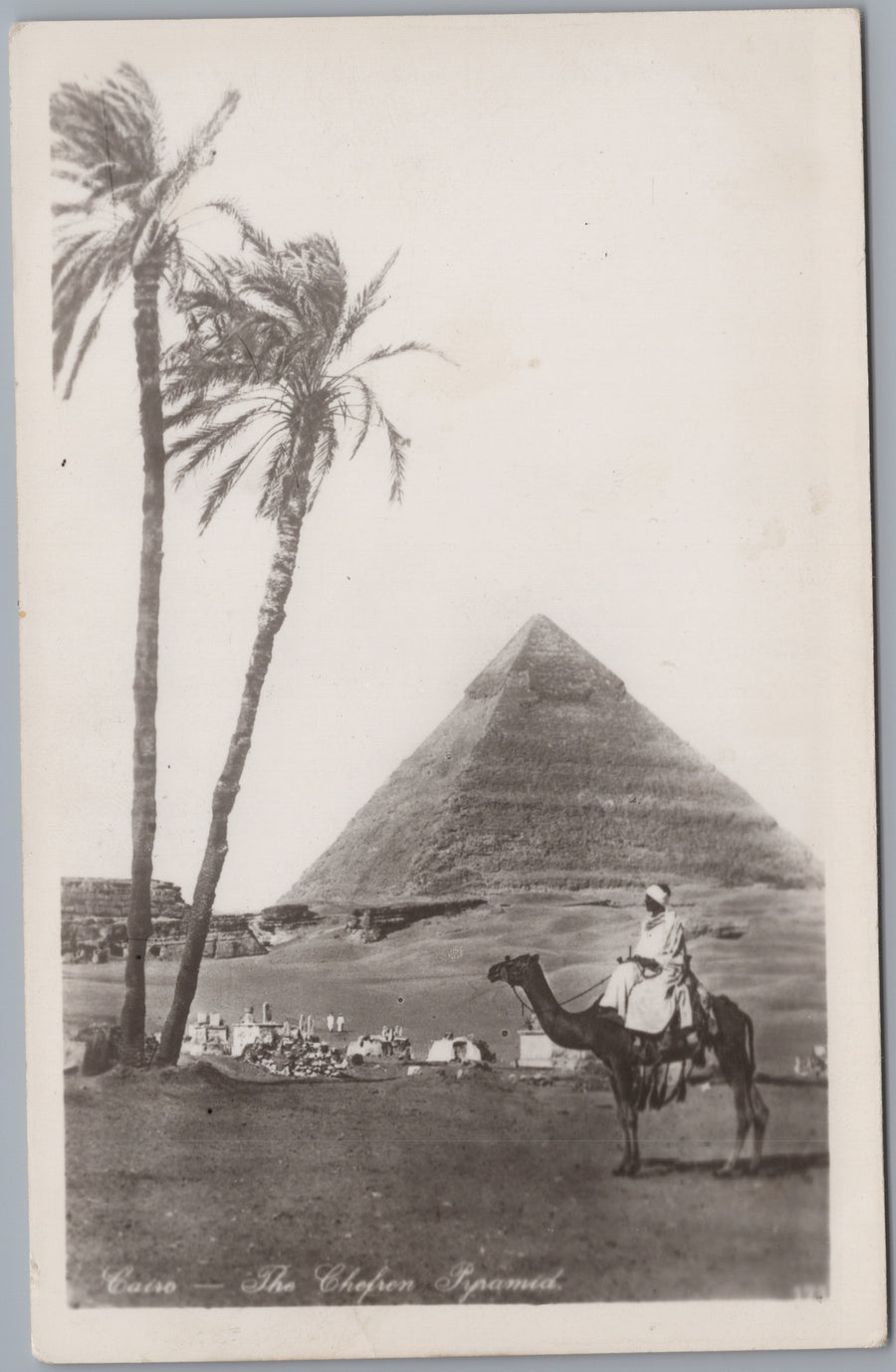 Giza — Khafre Pyramid with Two Palms and Camel Rider