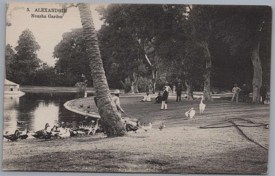 Alexandria — Nouzha Garden Pond and Water Birds