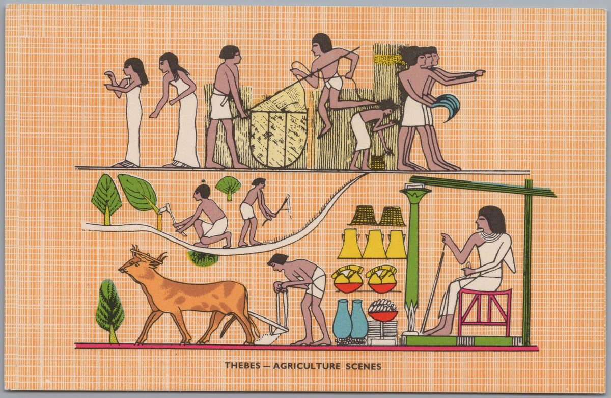 PC02207 front — Illustrated Ancient Agricultural Scenes