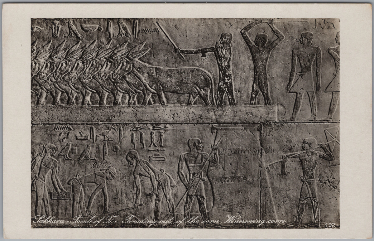 PC02286 front — Agricultural Scenes in the Tomb of Ti