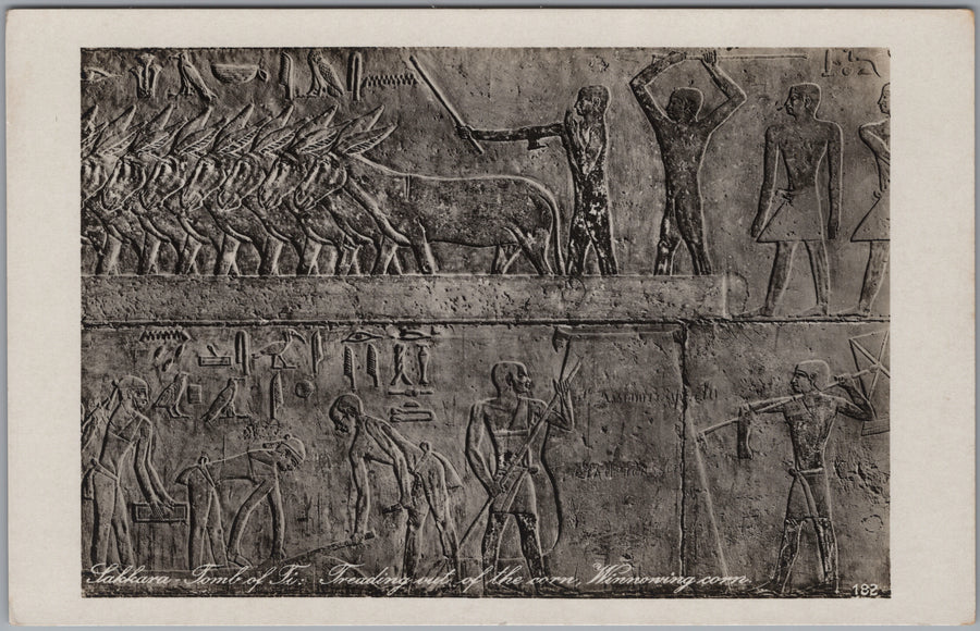 Saqqara — Agricultural Scenes in the Tomb of Ti