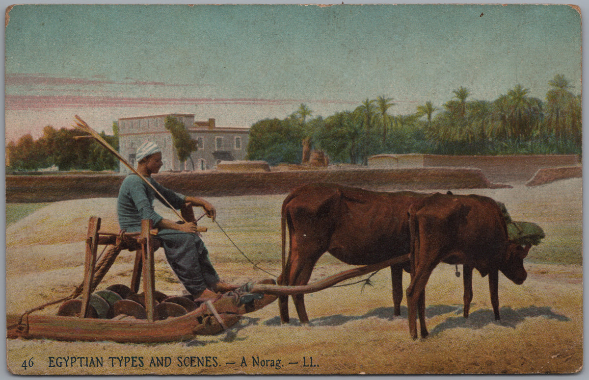 PC02300 front — Cattle Drawing a Norag
