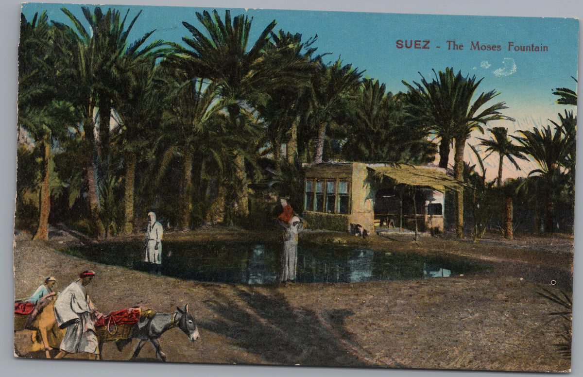 PC02318 front — Moses Fountain and Palm Grove