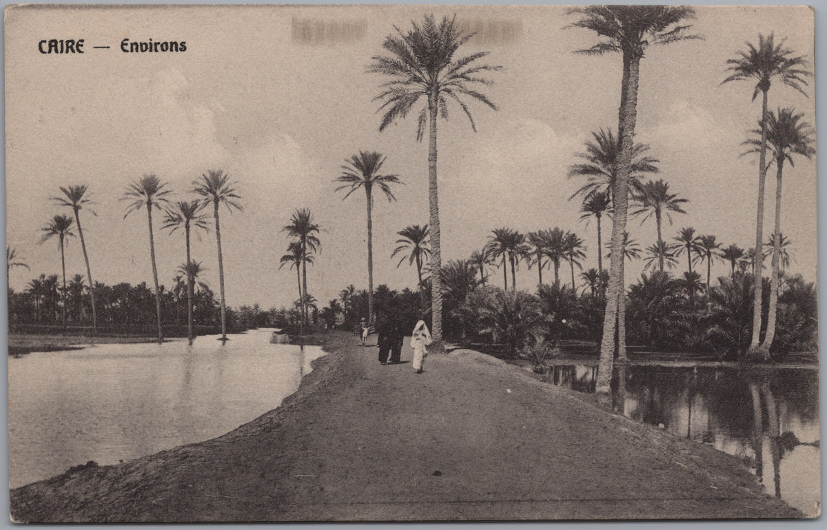 PC02319 front — Palm-Lined Waterside Path