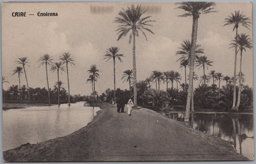 Cairo — Palm-Lined Waterside Path