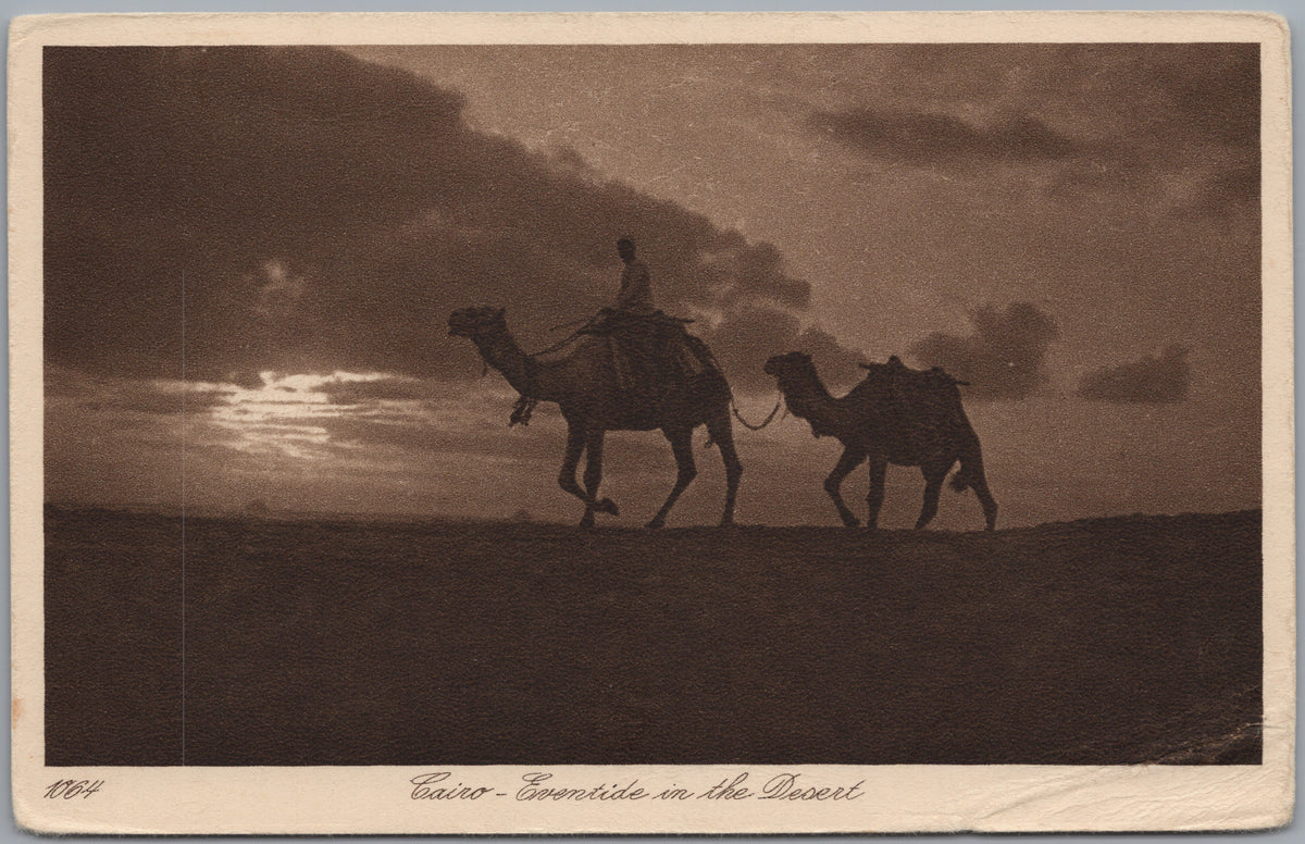 PC02333 front — Camel Silhouettes at Desert Twilight