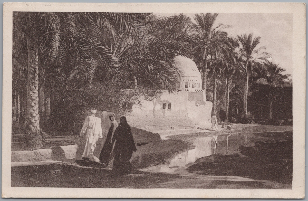 PC02346 front — Domed Building beside Palms and Water