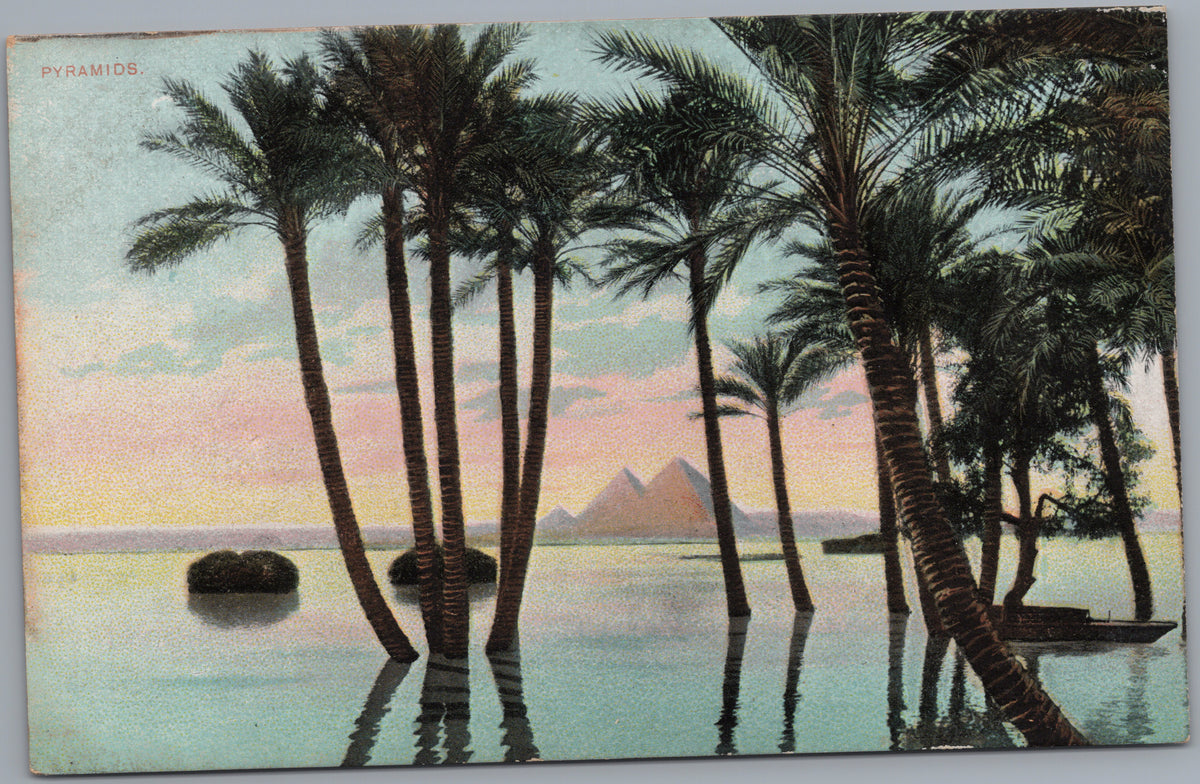 PC02378 front — Flooded Palms and Distant Pyramids