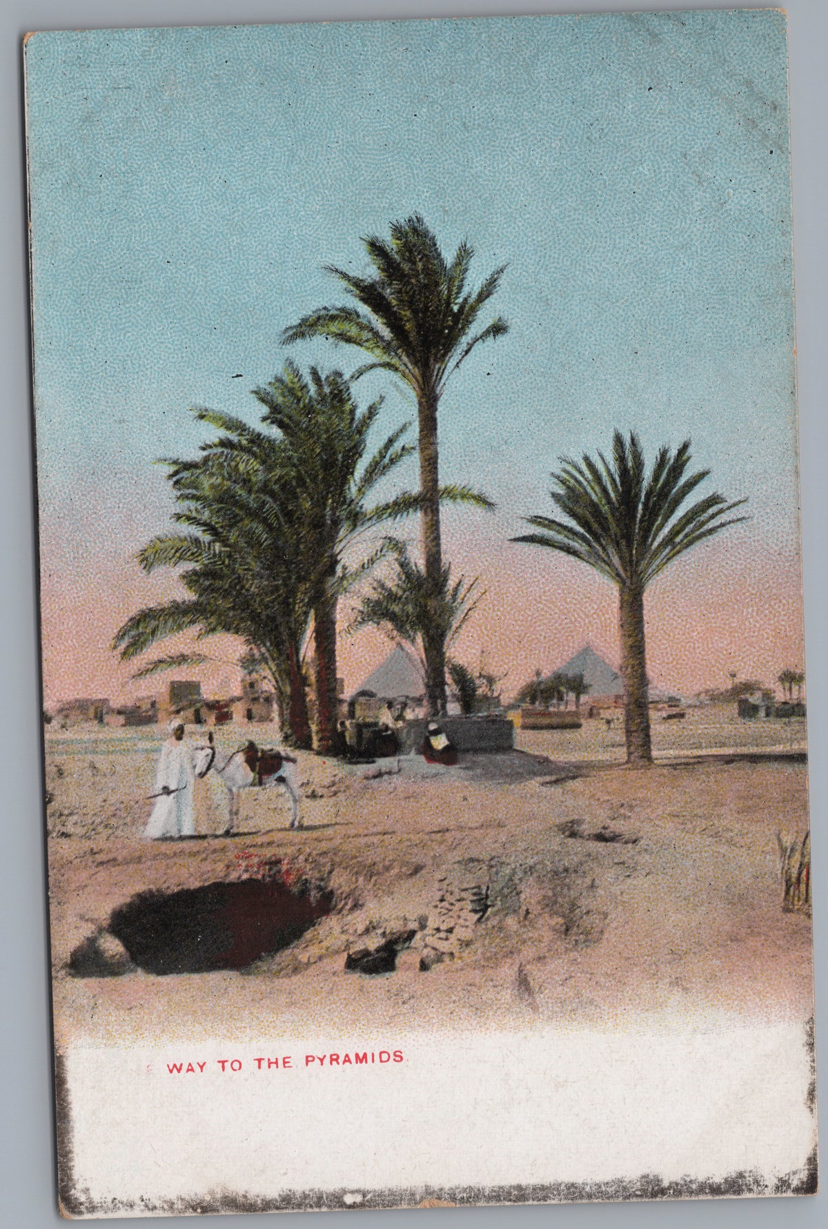 PC02386 front — Palm Grove on the Road to the Pyramids