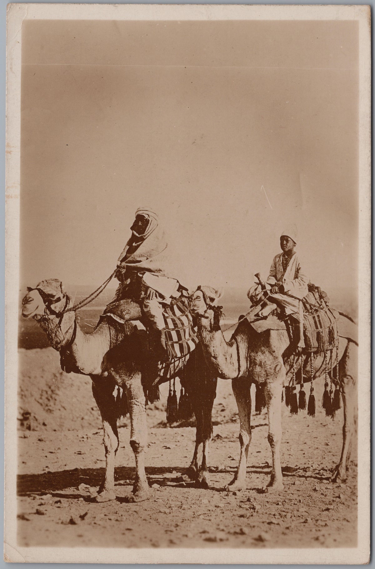 PC02395 front — Camel Riders Crossing the Desert
