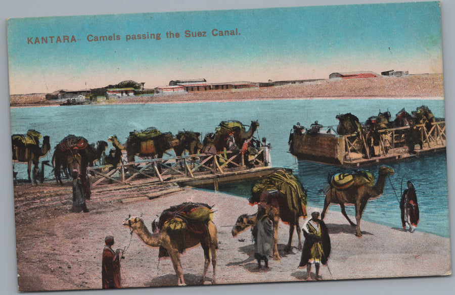Kantara — Camels Crossing the Suez Canal