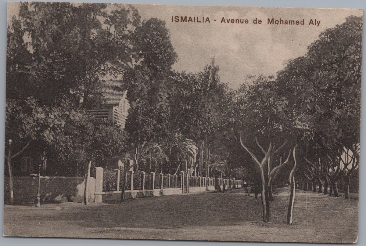 PC02466 front — Mohamed Aly Avenue