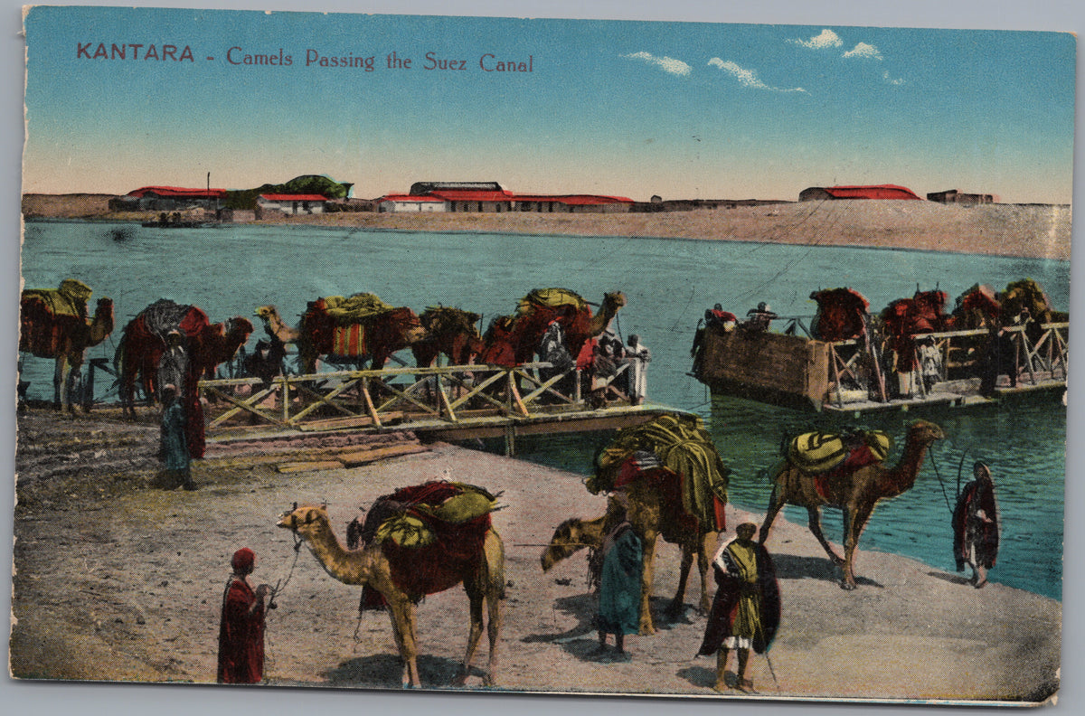 PC02469 front — Camel Ferries on the Suez Canal