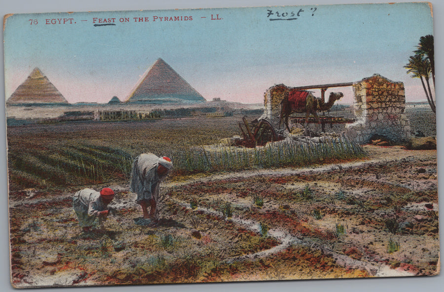 Giza — Field Workers near the Pyramids