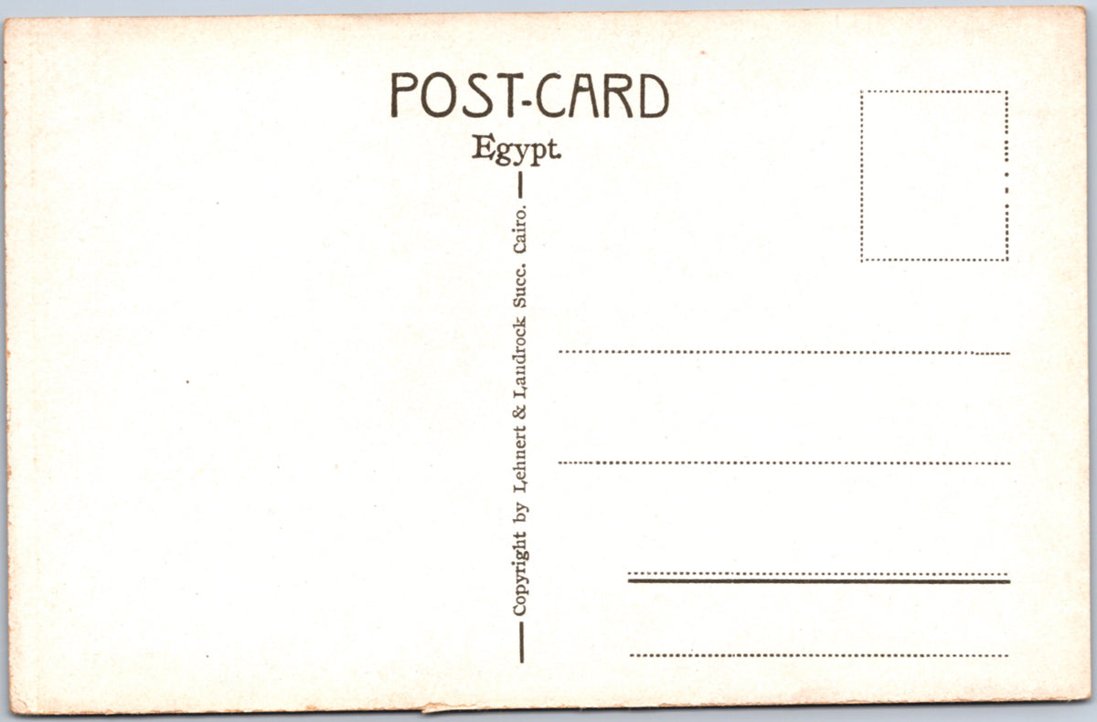 Giza — Camels at Eventide in the Desert — postcard reverse