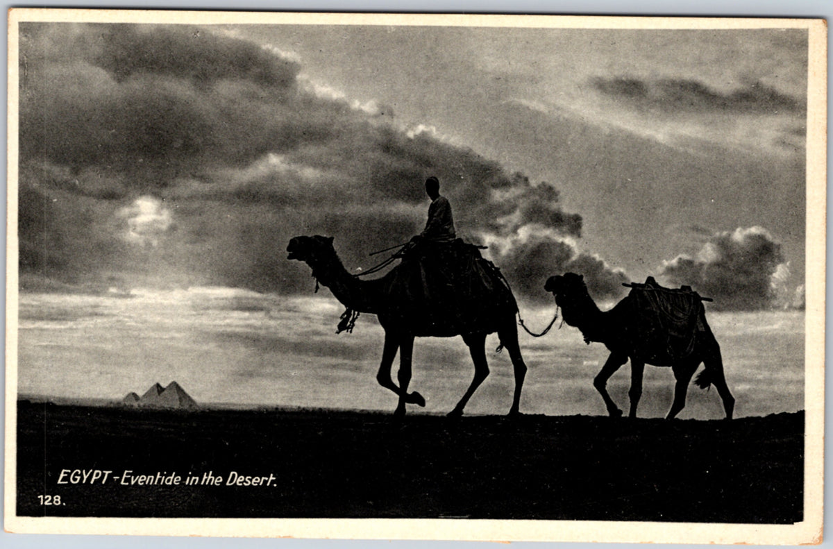 Giza — Camels at Eventide in the Desert — postcard front