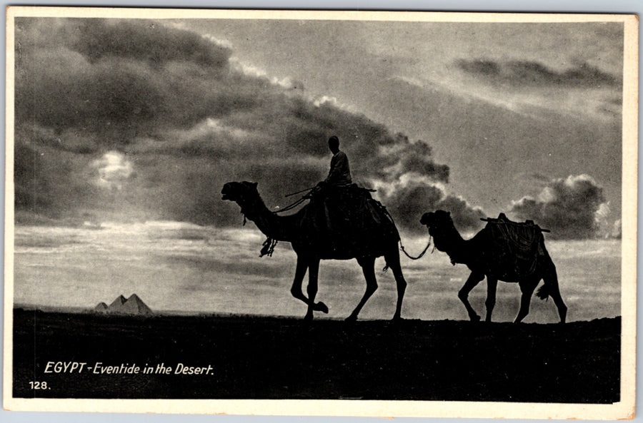 Giza — Camels at Eventide in the Desert