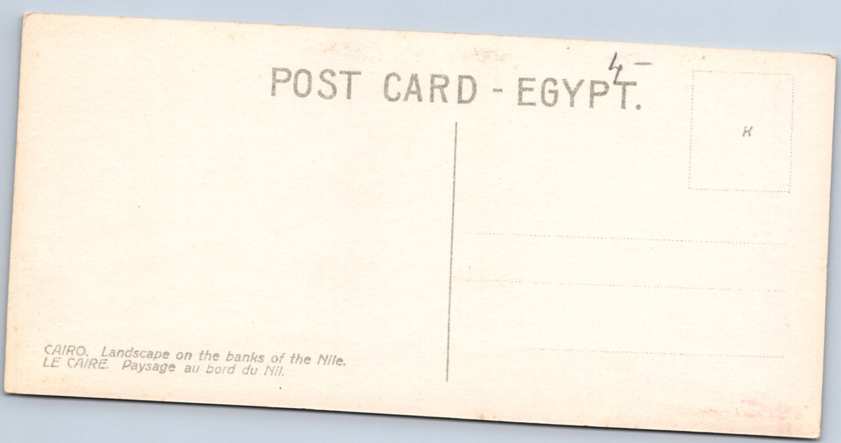 Cairo — Palm Trees on the Banks of the Nile — postcard reverse