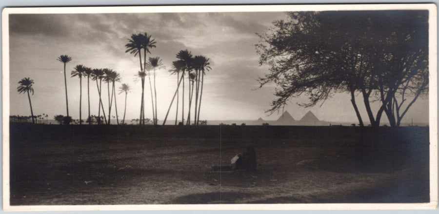 Giza — Pyramids at Sunset with Palm Trees